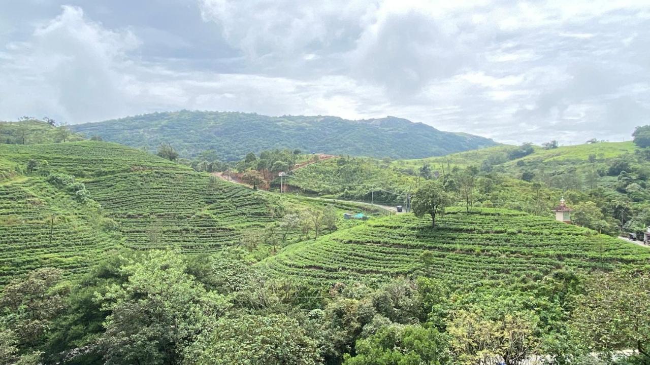 Hill Monk - Bethany Heights Vagamon Luaran gambar