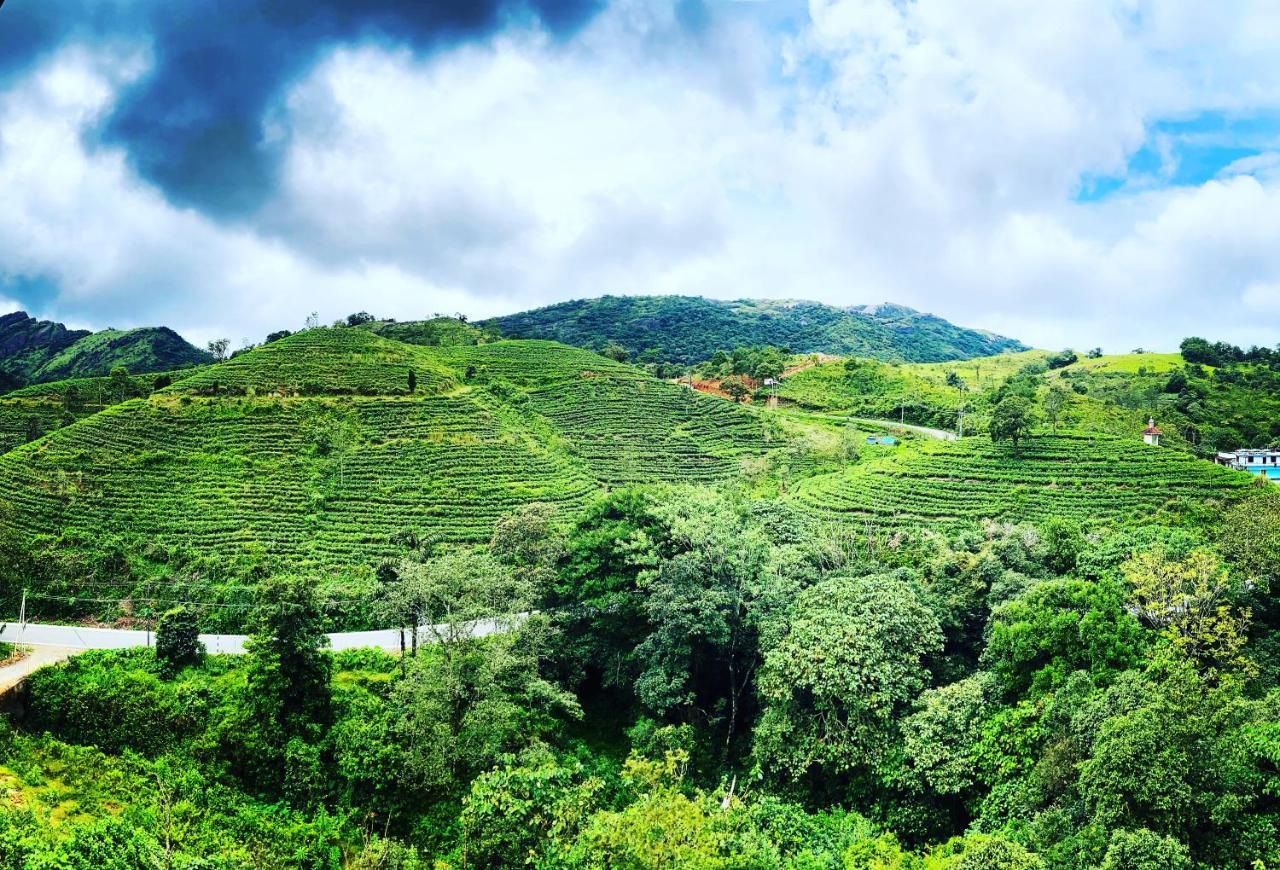 Hill Monk - Bethany Heights Vagamon Luaran gambar
